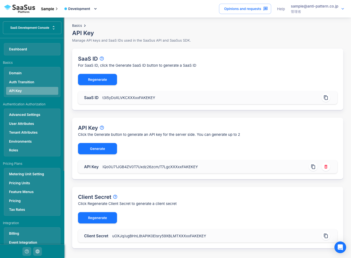 API Key screen